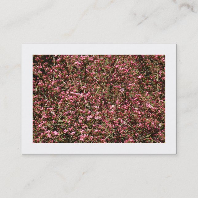 Carte De Visite Fleur de cerisier rose 02 (Bordé) (Devant)