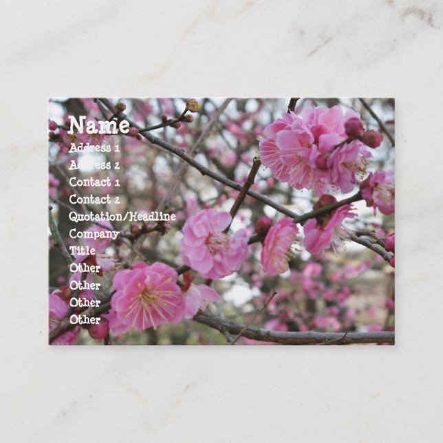 Carte De Visite Fleur de cerisier rose / Sakura / ク(桜) (Devant)