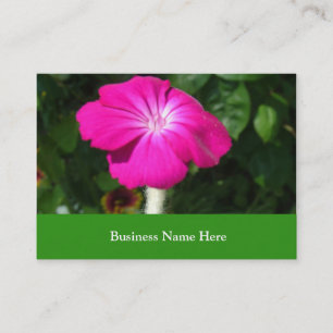 Carte De Visite fleur de jardin rose