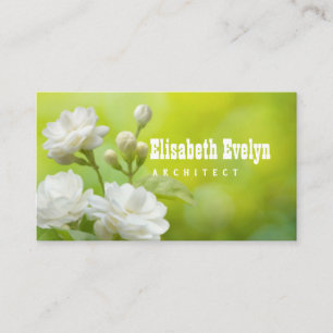 Carte De Visite Fleur de jasmin sur la verdure