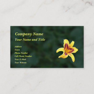 Carte De Visite Fleur de jour jaune avec rouge, Hemerocallis :