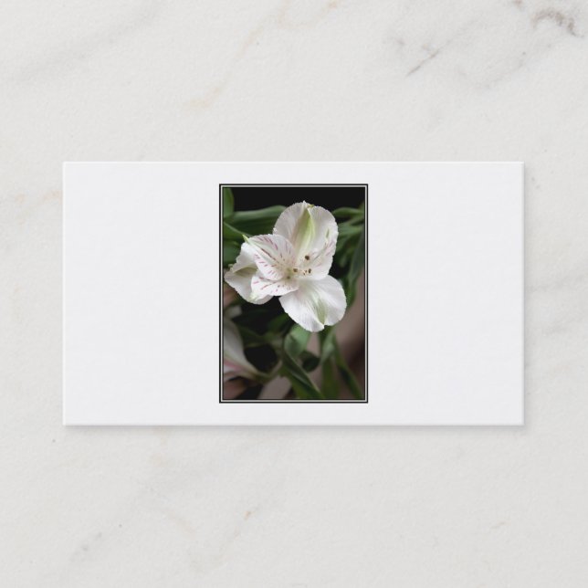 Carte De Visite Fleur de lis (Devant)