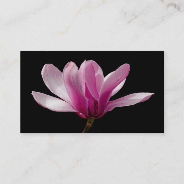 Carte De Visite Fleur de Magnolia de soucoupes roses (Devant)