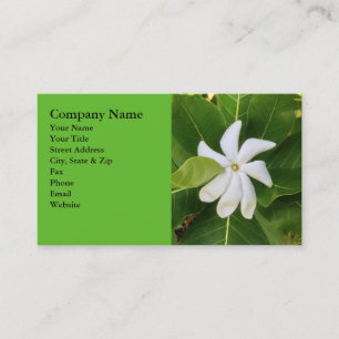 Carte De Visite Fleur hawaïenne de jasmin de Pikake