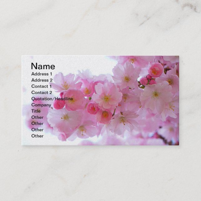 Carte De Visite Fleur japonaise de cerisier (Devant)