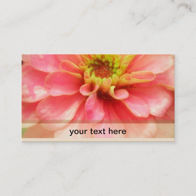 Carte De Visite Fleur rose molle de Zinnia (Devant)