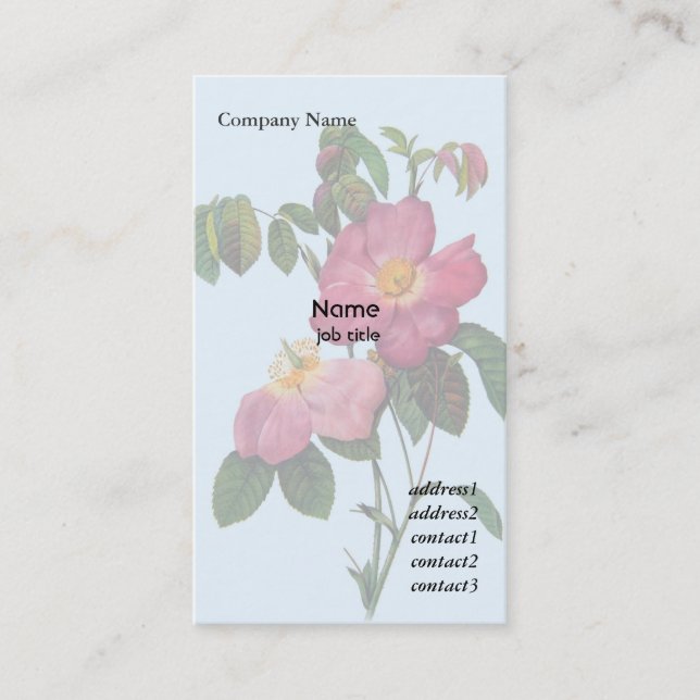 Carte De Visite Fleur rose rose sauvage, Pierre Joseph Redouté (Devant)