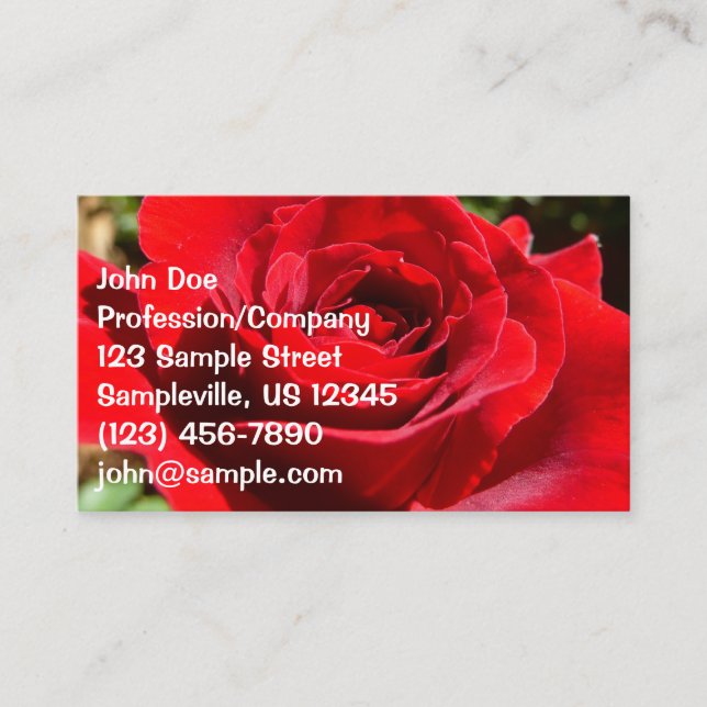 Carte De Visite Fleur rose rouge vif Belle florale (Devant)