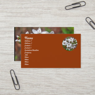 Carte De Visite Fleur sauvage blanc et vol d'abeille