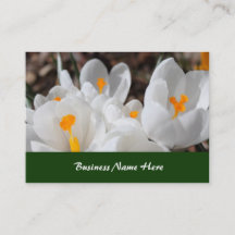 fleurs blanches