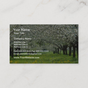 Carte De Visite fleurs blanches de pommiers
