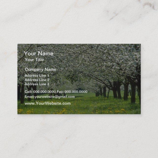 Carte De Visite fleurs blanches de pommiers (Devant)