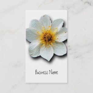 Carte De Visite Fleurs blanches minuscules