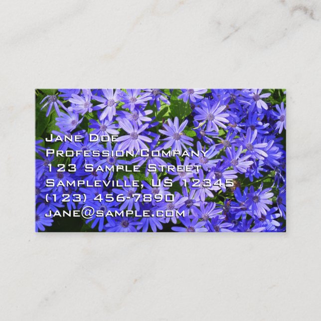 Carte De Visite Fleurs bleues à la marguerite Nature Photographie (Devant)