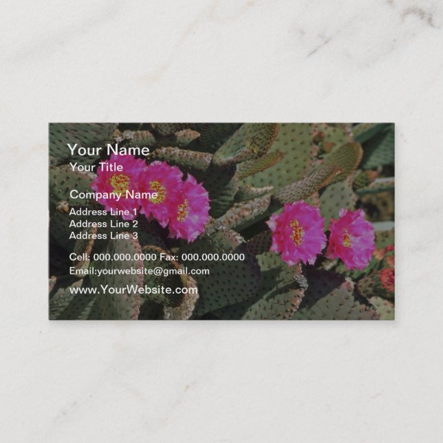Carte De Visite Fleurs de cactus de Beavertail (Devant)