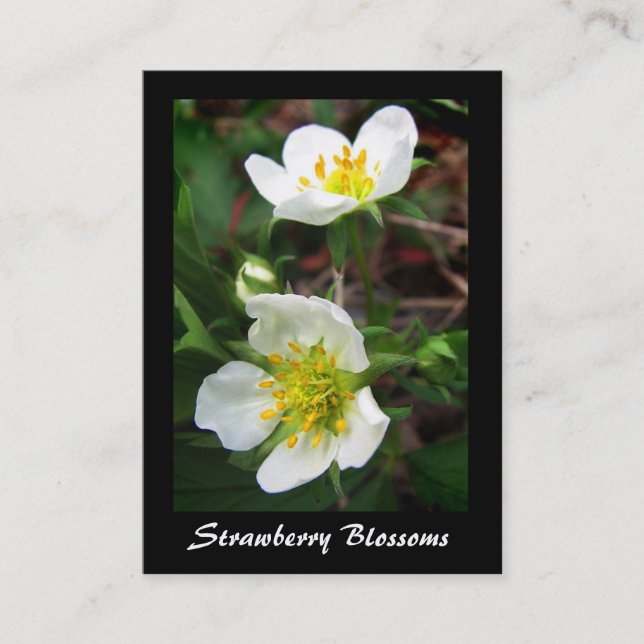 Carte De Visite Fleurs de fraises sauvages ATC (Devant)