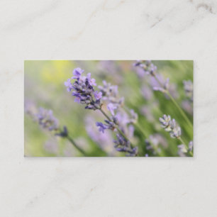 Carte De Visite Fleurs de lavande