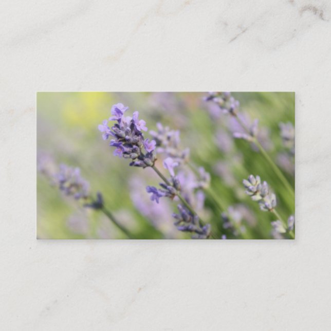 Carte De Visite Fleurs de lavande (Devant)