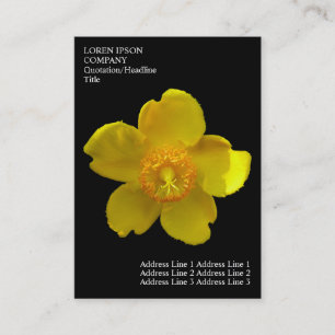 Carte De Visite Fleurs minimales - Pire de Saint-Jean - Noir