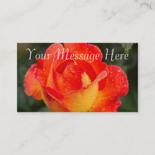 Carte De Visite Floral Rose orange