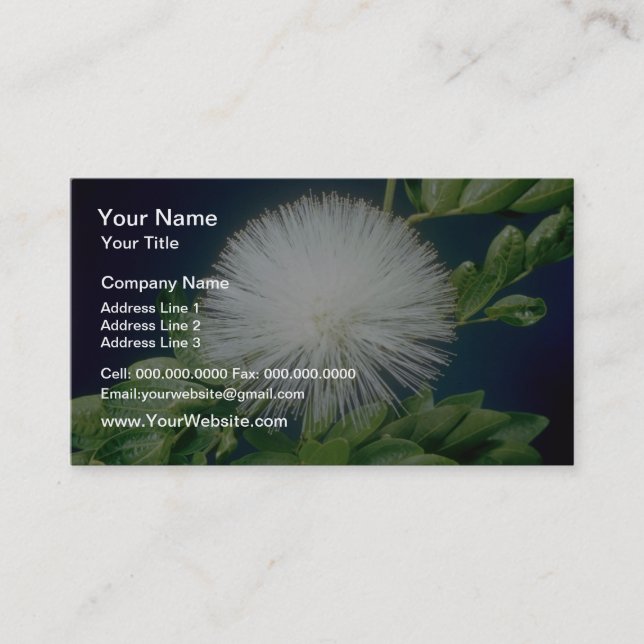 Carte De Visite flowe blanc de lehua de Haele (inaequilatera de (Devant)