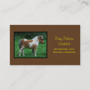 Carte De Visite Fluffy Adorable Dartmoor Pony