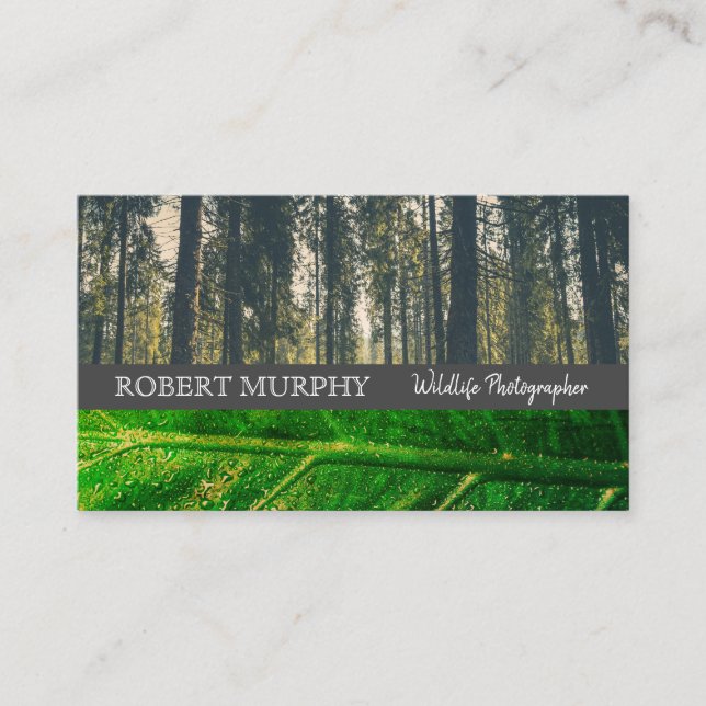 Carte De Visite Forêt | Feuille | Photographe de Wild Life (Devant)