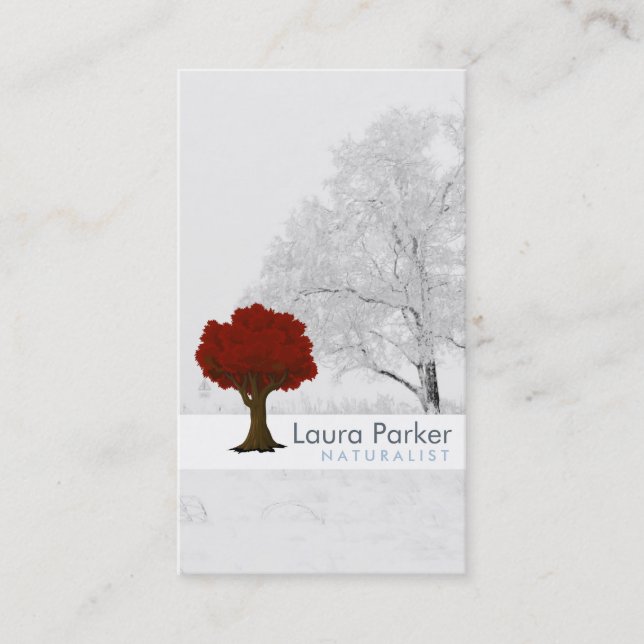 Carte De Visite Forêt naturelle Arbre d'Argent Entretien Paysage p (Devant)