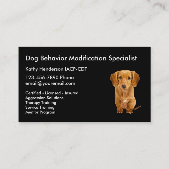 Carte De Visite Formation de comportement de chien (Devant)