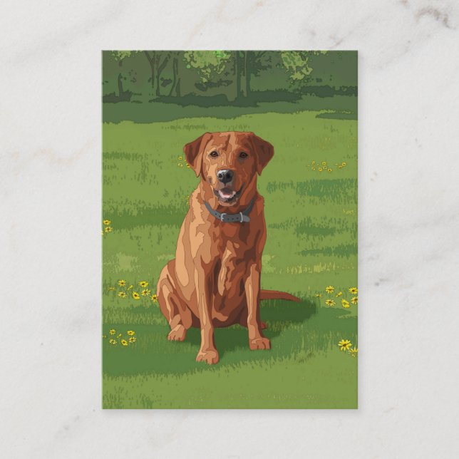 Carte De Visite Fox Red Yellow Labrador Retriever Chien (Devant)