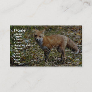 Carte De Visite Fox rouge