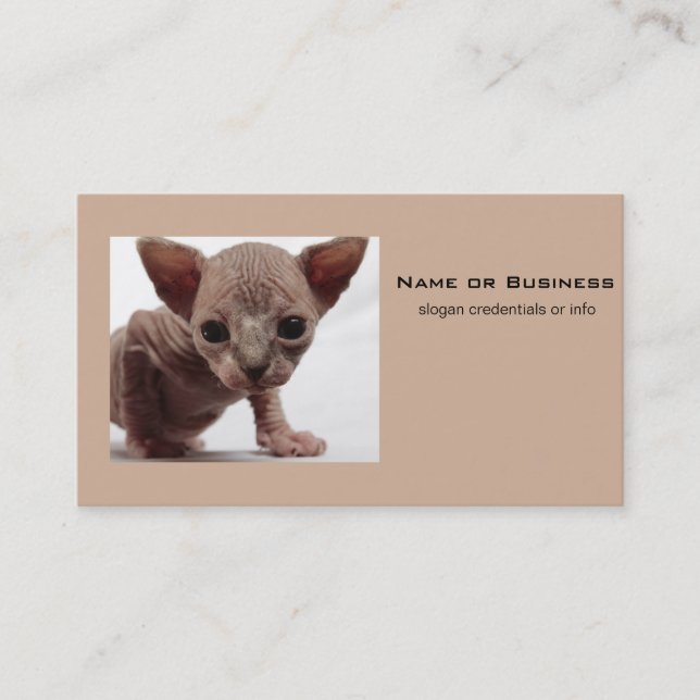 Carte De Visite Freaky Cute Furless (Devant)