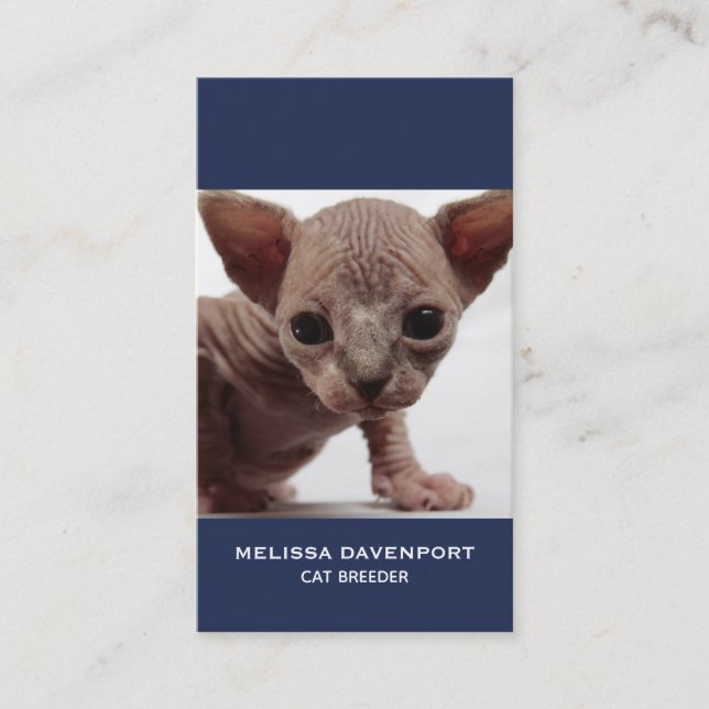 Carte De Visite Freaky Cute Furless (Devant)