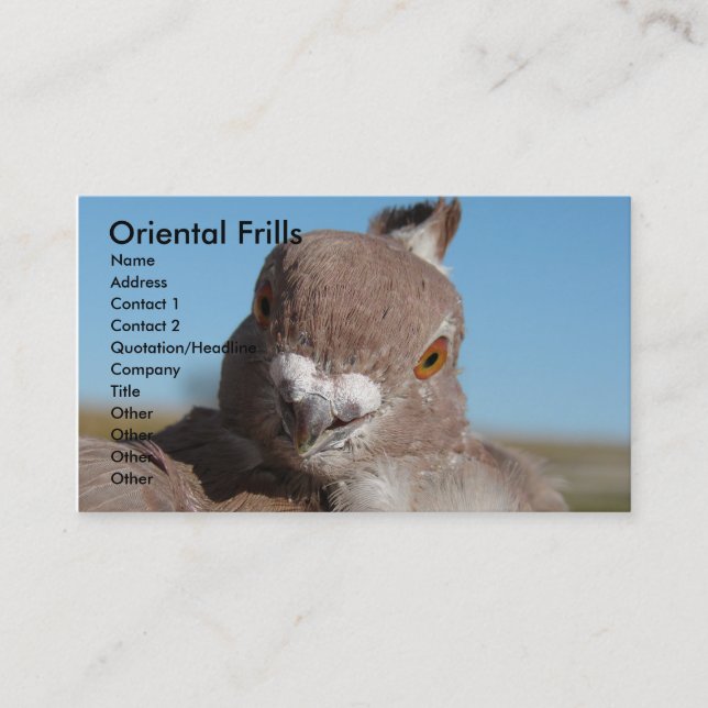 Carte De Visite Frilles orientales (Devant)