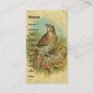 Carte De Visite Fruit Vintage