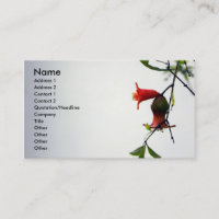 Fruits d'incidence/carte de profil