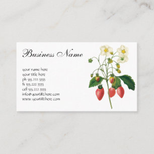 Carte De Visite Fruits vintages Fraises de fraises alimentaires pa