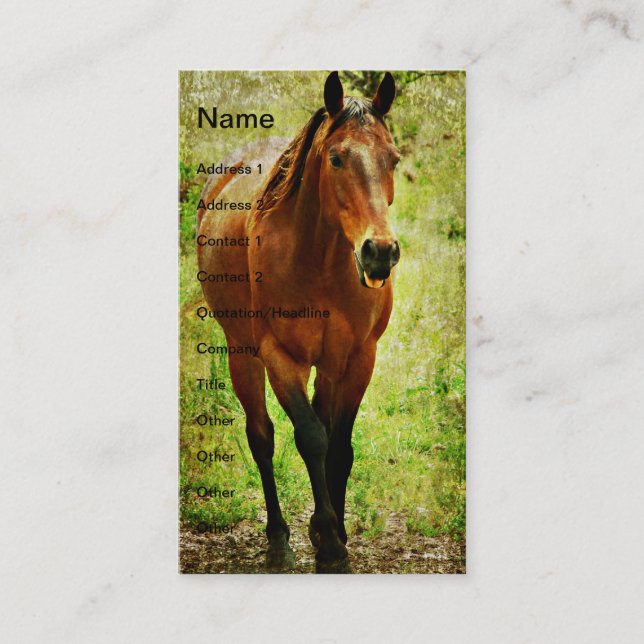 Carte De Visite Funny Bay Horse (Devant)