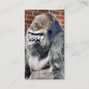 CARTE DE VISITE FUNNY GORILLA