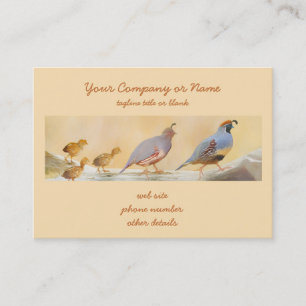 Carte De Visite Gambrel's Quail Painting Original Bird Art