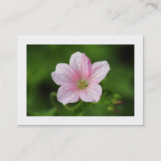 Carte De Visite Géranium (Bordé) (Devant)