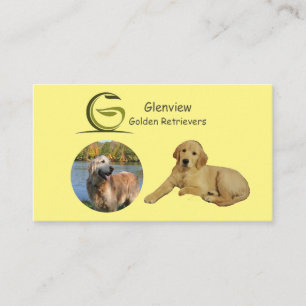 Carte De Visite Glénview Golden Retrivers