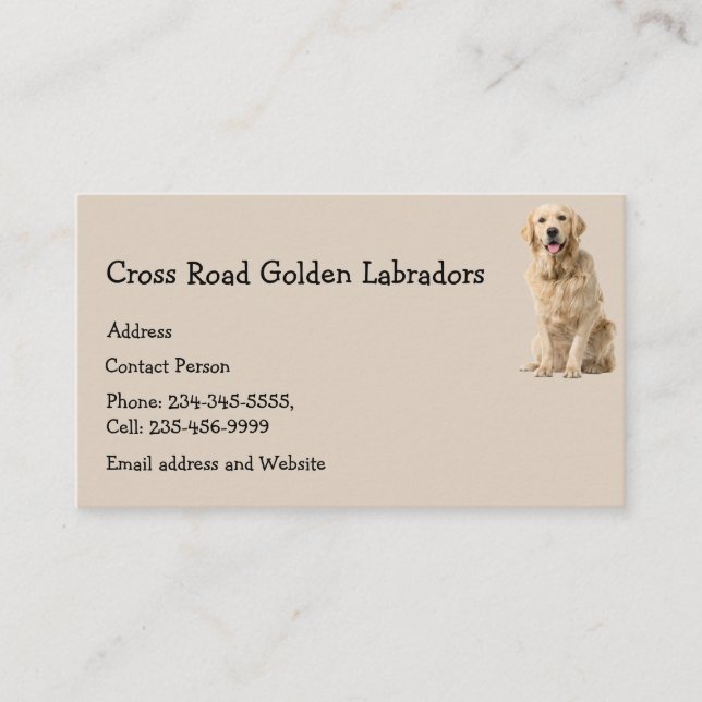 Carte De Visite Golden Labrador Chien animal animal animal animal  (Devant)