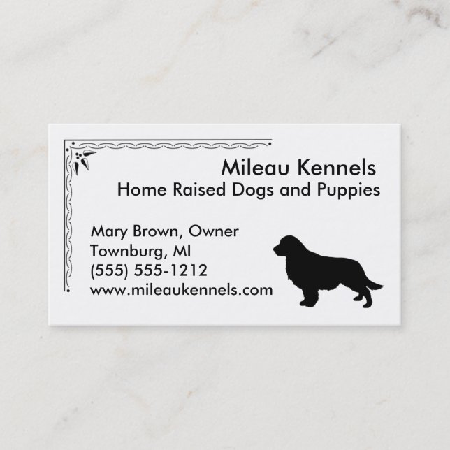 Carte De Visite Golden Retriever (Devant)