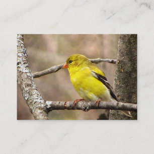 Carte De Visite Goldfinch ATC