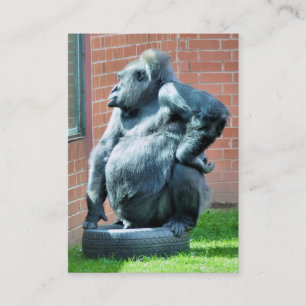 CARTE DE VISITE GORILLA