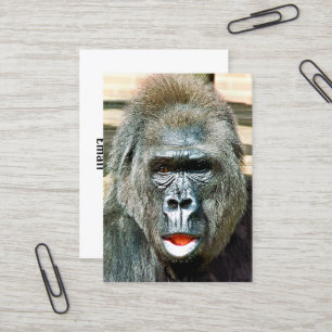 CARTE DE VISITE GORILLA FRAÎCHE