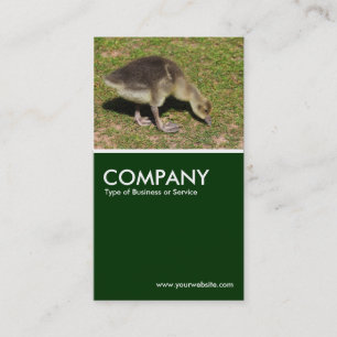 Carte De Visite Gosling - Vert foncé