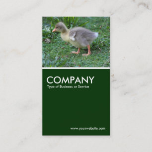 Carte De Visite Gosling - Vert foncé