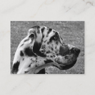 CARTE DE VISITE GRAND DANE